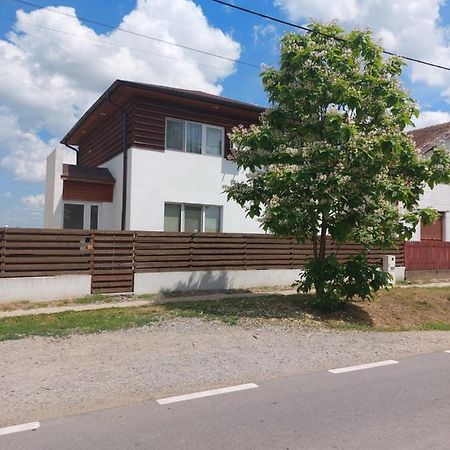 Vila Onix Săcueni エクステリア 写真