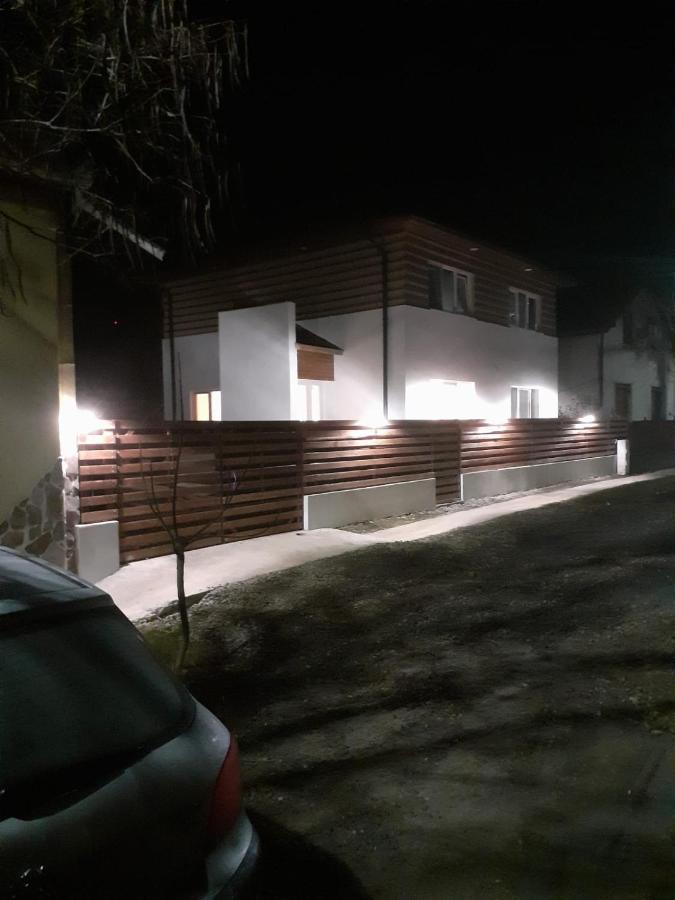 Vila Onix Săcueni エクステリア 写真